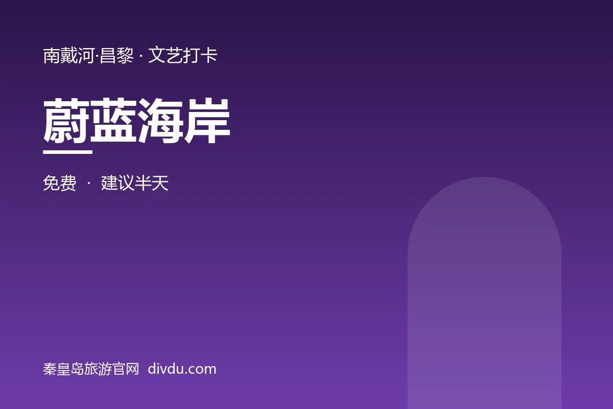 蔚蓝海岸海边秋千与沙滩