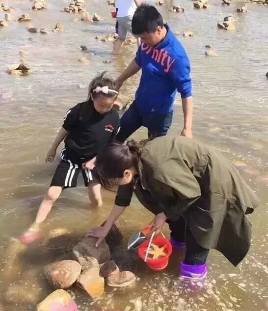 秦皇岛赶海攻略-好玩项目