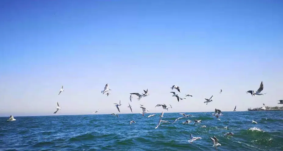 2026北戴河旅游攻略 | 景区分布·票价 — 秦皇岛旅游博客